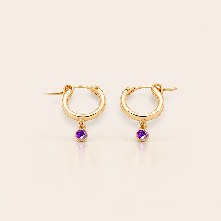 BIRTHSTONE MINI HOOPS – Únor